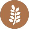 The Source Bulk Foods Chiswick