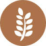 The Source Bulk Foods Shell Cove