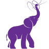 The Sparkly Elephant
