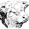 The Tai’r Bull Inn