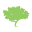 The Teak Tree