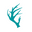 The Teal Antler Boutique
