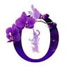 The Thai Orchid