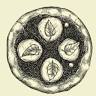 The Uproot Pie Co & Carriage House
