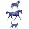 North Warrandyte Veterinary Clinic