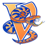 Victory Vipers Allstar Gym