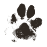 Village Pet Shop