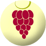 The Village Vine