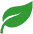 The Vine Garden Plant Outlet