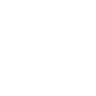 The Vineyard Church