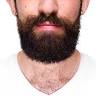 The Voiceover Beard: Voiceover Artist & Voice Actor