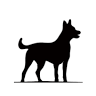 The Welder's Dog