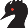 The Wicked Loon