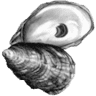 The Wicked Oyster