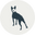 The Wise Old Dog