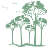The Woods Medical Centre