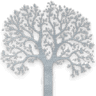 The Yoga Branch