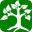 The Yoga Tree