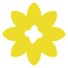 Thuiszorg het Friese Land