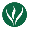 Thielen & Associates