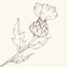 Thistles Florist