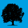 Thomas H Wood Estate Agents