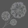 Florist/Floral Designer