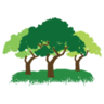 Three Tree Landscapes