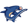 BayCare Ballpark
