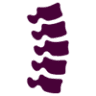 Thrive Chiropractic
