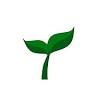 Thrive Holistic Medicine