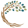 3 Dimensional Health & Wellness