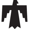 Thunderbird Technical Services, Inc.