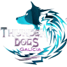 Club de Agility Thunderdogs Galicia