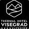 Thermal Hotel Visegrad