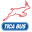Tica Bus
