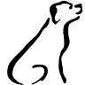 Dr.med.vet. Stefan Dauser veterinarian