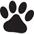 Dr. med. Vet. Thomas Berger veterinarian