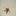 Punta Tierra Blanca Beach Resort