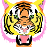 Tigerbox Beauty