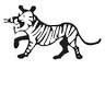 Tiger Button Co. Inc