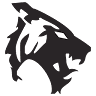 Tiger Electric Ltd