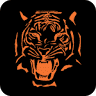 Tiger Electric Inc