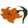 Tiger Lily Quilt Co