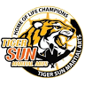 TIGER SUN MARTIAL ARTS FRISCO / KARATE TAEKWONDO