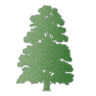 Tilia Foulsham Ltd - Addison Farm