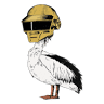 Timboektoe