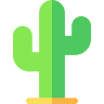 The Cactaceae Lady