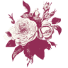 Tiny Times Florist 小时代 (JB)