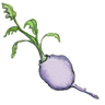 Tiny Turnip